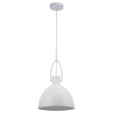 Mercator Terrence 1Lt Light Pendant