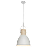 Mercator Calico 1Lt Pendant Light