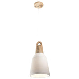 Mercator Morrissey 1Lt Small Pendant Light