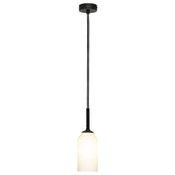 Mercator Spotswood 1Lt Pendant Light